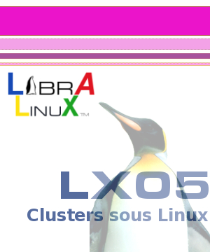 Formation Cluster Linux